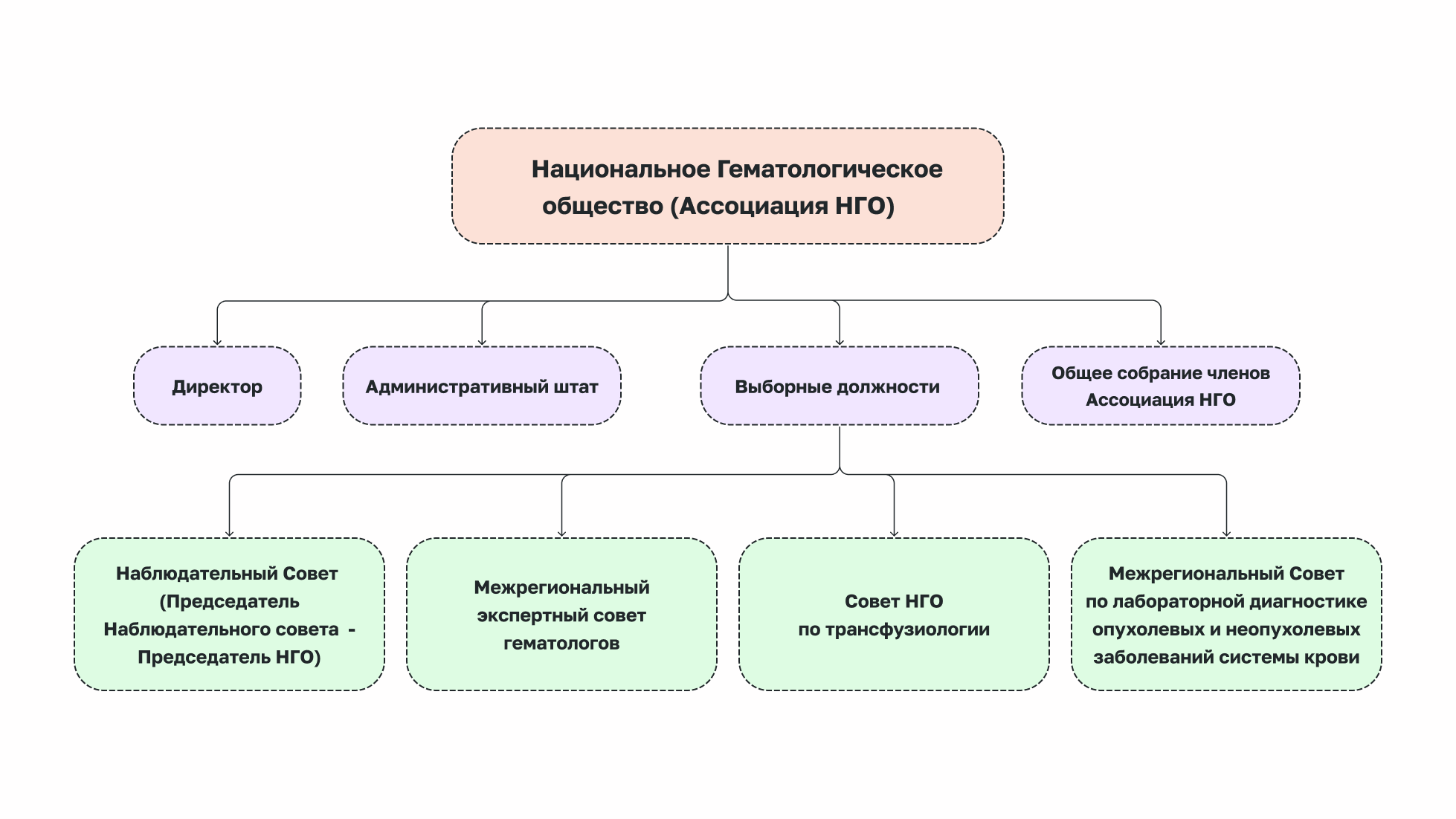 Структура организации